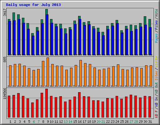 Daily usage for July 2013
